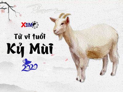 tu-vi-tuoi-ky-mui-2020-400x300