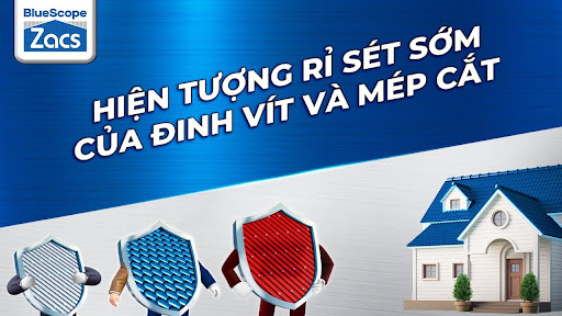 hien-tuong-ri-set-som-của-dinh-vit